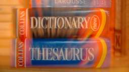 Collins English Dictionary Names 'Permacrisis' UK's Word of the Year