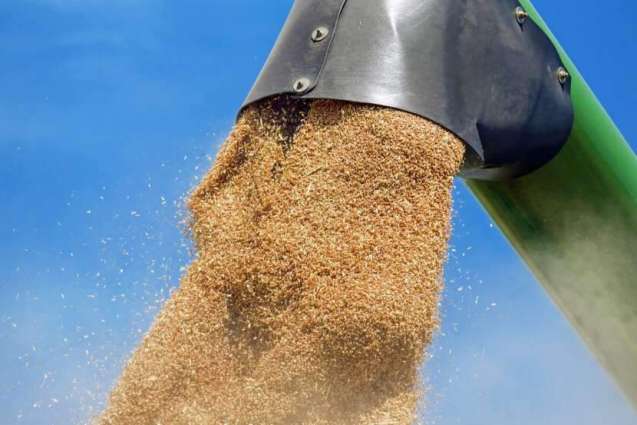 UN Officials to Discuss Grain Deal With Russian Delegation in Geneva on Friday - Office