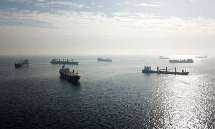 Russia Blocks Passage Via Kerch Strait for Ships Loaded Abroad - Turkish Authorities