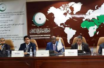 Member States Discuss Draft OIC Convention on the Rights of the Child