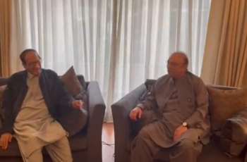 Zardari assures Shujaat Hamza will not be Punjab CM in new possible setup