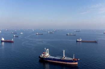 Maritime Traffic in Bosporus Caused by Refusal of Companies to Provide Insurance - Ankara