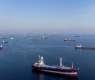 Maritime Traffic in Bosporus Caused by Refusal of Companies to Provide Insurance - Ankara