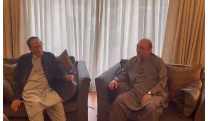 Zardari assures Shujaat Hamza will not be Punjab CM in new possible setup