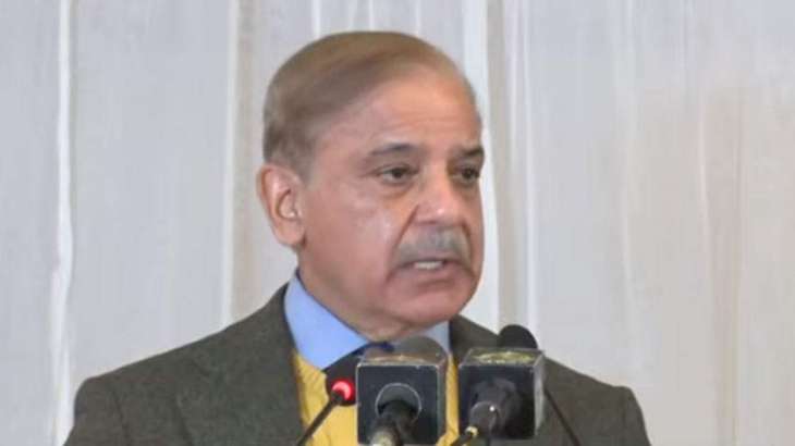 PM Shehbaz  vows to promote principles of freedom of expression, free media