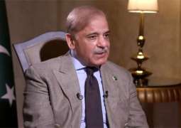 PM Shehbaz calls for constructive Pak-India dialogue to resolve issues