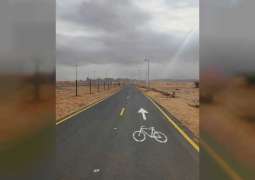 SEWA installs 955 lighting poles to Al Bataeh cycling track