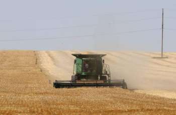Russia Keeps Grain Export Quota Unchanged in 2022-2023 Season - Agriculture Ministry