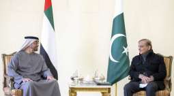 وزیر المالیة اسحاق دار مع وزیر الدولة لشوٴون الطاقة القطري سعد بن شریدة الکعبي