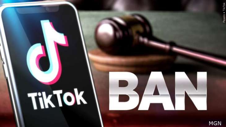 More Than Half of US States Ban TikTok on Government Devices - Reports