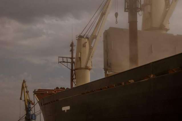 US Sees 'Real Slowdown' in Grain Shipments Leaving Ukraine Under UN Deal - Envoy