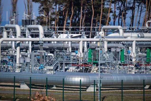 Russia, Algeria Ready to Work on World Energy Markets, OPEC+, Gas Exporters Forum- Kremlin