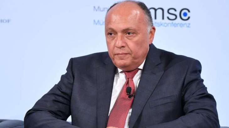 Egypt Wil Build Equal Relations With All Countries Despite Pressure - Egyptian Foreign Minister Sameh Shoukry 