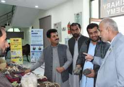 Sheep & goat farmers of Quetta trained on ‘Wool Marketing, Cutting & Breed of Wool’ at UVAS