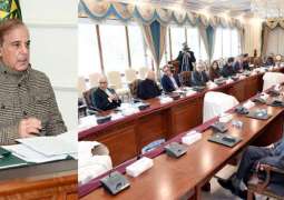 PM directs to ensure full implementation of Apex Committee decisions