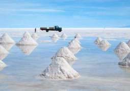 Russia's Talks on Lithium Mining in Bolivia at Final Stage - Ambassador