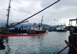 Georgia Limits Sea Traffic Along Coastline After Blast in Batumi Port - Ministry