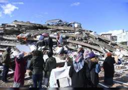 UNDP requests $113.5 million to support early recovery after disaster in Türkiye