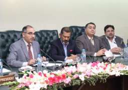 NEPRA Chairman refuses to remove MDI fixed charges