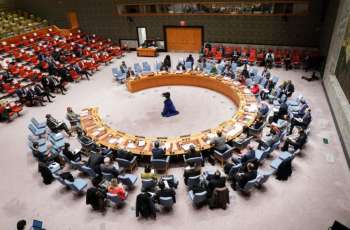 UNSC Meeting on Ukraine February 24 to Be Held on Ministerial Level - Maltese Envoy