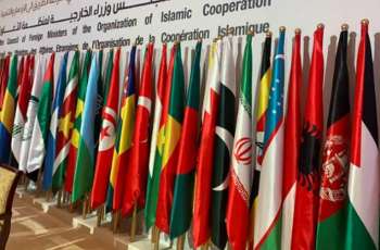 Trade Between Russia, OIC Countries Surges Almost 27% in 3 Years - Official
