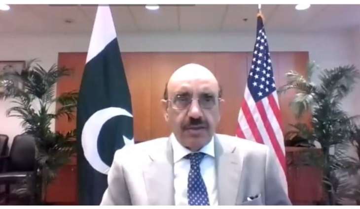 Pak-US partnership critical for transformation to renewables: Masood Khan