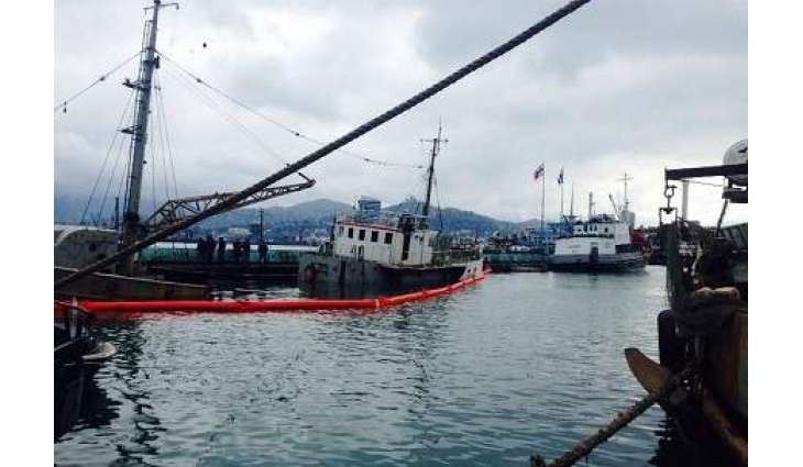 Georgia Limits Sea Traffic Along Coastline After Blast in Batumi Port - Ministry