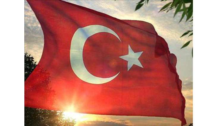 Turkish Ambassador Says Russia Sent Turkey 80 Tonnes of Humanitarian Aid, Over $1Mln