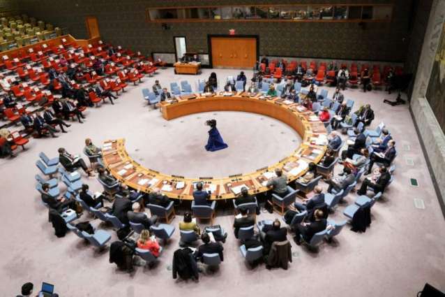 UNSC Meeting on Ukraine February 24 to Be Held on Ministerial Level - Maltese Envoy
