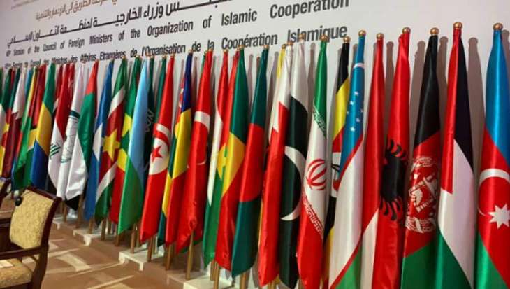 Trade Between Russia, OIC Countries Surges Almost 27% in 3 Years - Official
