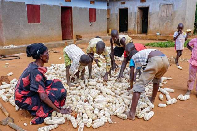 Over 10 People Dead, 30 Injured in Collapse of Maize Drying Shelter in Rwanda - Reports