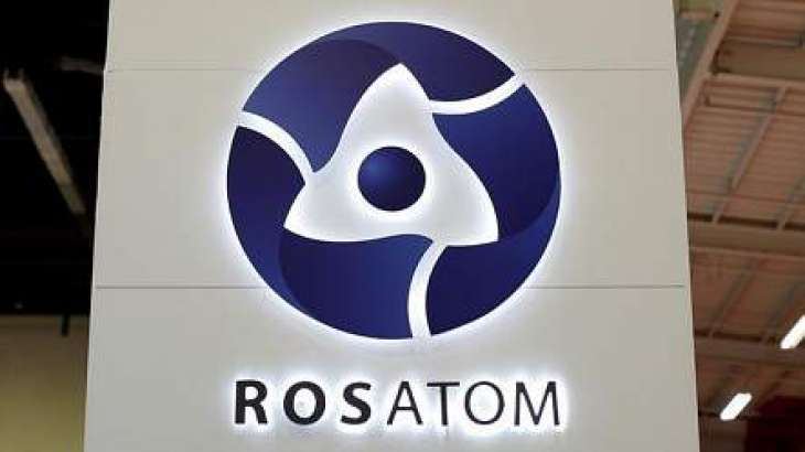 Rosatom Ready for Increased Western Pressure on Company's Projects Abroad - CEO