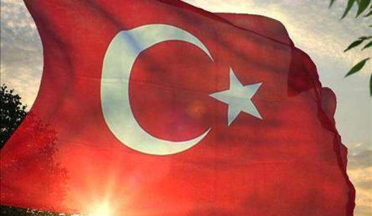 Turkish Ambassador Says Russia Sent Turkey 80 Tonnes of Humanitarian Aid, Over $1Mln