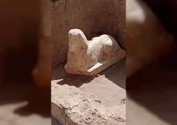 Egyptian archaeological mission uncovers smiling sphinx in Qena