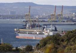 Cuba to Keep Importing Russian Oil at Present Level - Ambassador to Russia