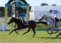 Over 20 horses to compete in Al Wathba Stallions in Italy