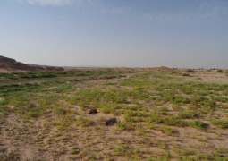 EAD issues executive regulations of Abu Dhabi's ‘Grazing Law’ to conserve wild plants