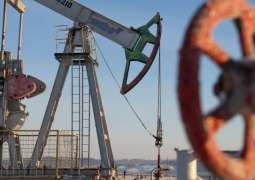 Russian Delegation Starts Final Oil Deal Talks in Pakistan - Reports