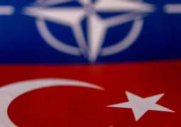 Turkey General Assembly to Consider Finland's NATO Membership Next Week - Representative