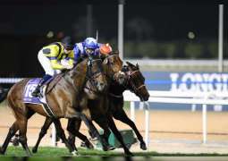 Dubai gallops to pole position in the big league of horse racing destinations