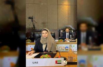 UAE participates in second Framework Working Group Meeting within G20 Finance Track for 2023