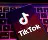 France Bans TikTok on Civil Servants' Devices - Public Sector Transformation Minister