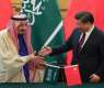 Beijing Hails Saudi Arabia's Decision to Become SCO Dialogue Partner
