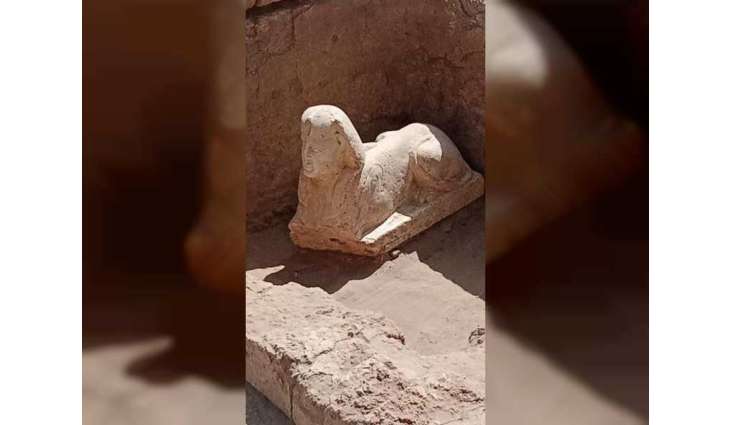 Egyptian archaeological mission uncovers smiling sphinx in Qena