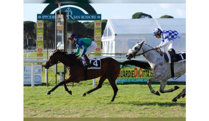 Over 20 horses to compete in Al Wathba Stallions in Italy