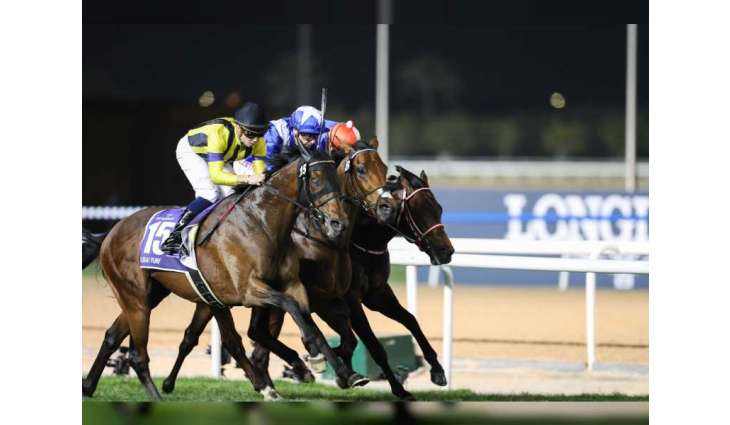 Dubai gallops to pole position in the big league of horse racing destinations