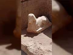 Egyptian archaeological mission uncovers smiling sphinx in Qena