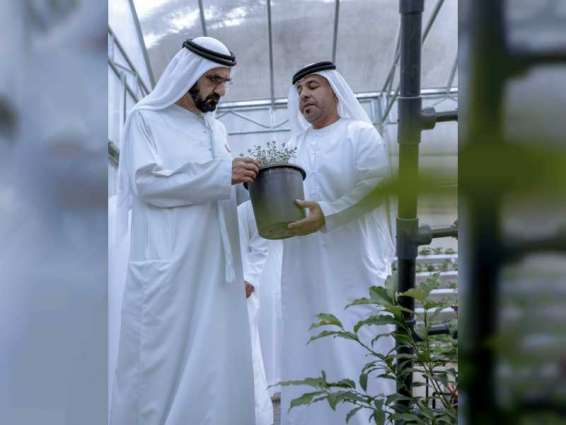 Mohammed bin Rashid visits strawberry farm in Hatta