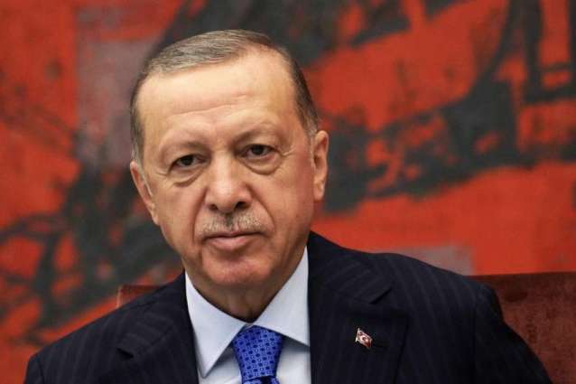 Turkish-Kurdish Islamist Party to Back Erdogan in General Election - Leader