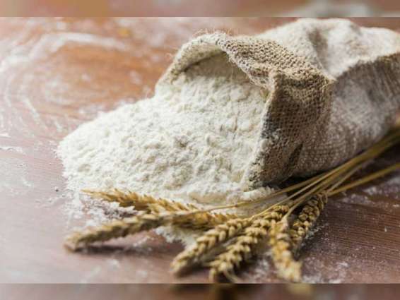 Kazakhstan is set to export over 9 million tons of grain and flour in 2023